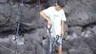 Tazs Fish White Ulua 3 vid3 [upl. by Menzies]