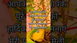 tulsimatabhajan viralvideo yutubeshorts ytshortsvideo [upl. by Raual208]