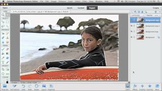 Photoshop Elements 11 Filter Effects [upl. by Atteuqnas820]