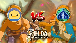 I am DETERMINED to finish Vah Rudania tonight  Racing 100PercentZelda in Breath of the Wild [upl. by Hank]