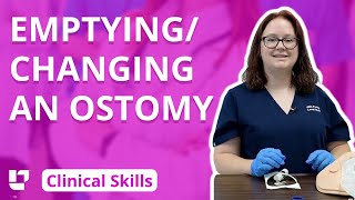 Emptying and Changing an Ostomy  Clinical Nursing Skills  LevelUpRN​ [upl. by Dotti]