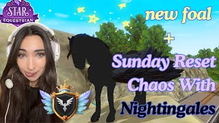 New Pegasus Foal  Chaotic Sunday Reset with Nightingales  Star Equestrian Vlog5🤍 [upl. by Ongineb]