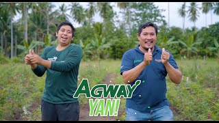 AGWAY YAN Official Jingle of Agway Chemicals Corporation [upl. by Otiragram]