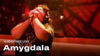 Amygdala on Audiotree Live Full Session [upl. by Nalon122]