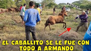 Miren la gran patada que le dio el caballo a Valdo Que susto le sacaron a Papysugar Parte 31 [upl. by Barna]