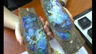 Opal Presentation in GERMAN [upl. by Cherian]