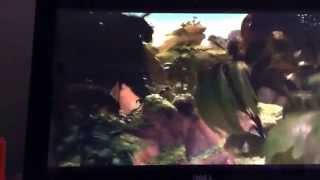 HORTON HEARS A WHO FULL MOVIE [upl. by Rustin]