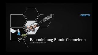 Bauanleitung für den bionischen Chamäleongreifer [upl. by Weinrich946]