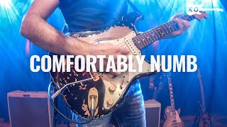 Pink Floyd  Comfortably Numb  Guitar Cover by Kfir Ochaion Live from The Guitar Loft [upl. by Maxa]