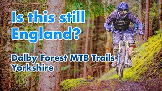 Is this best Yorkshire has  Dalby Forest Trail Guide [upl. by Murry]