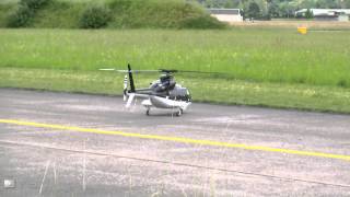 Autorotation with a very Big Scale Bell 430 RC Helicopter [upl. by Euqirne472]