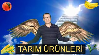 TÜRKİYEDE YETİŞEN TARIM ÜRÜNLERİ Sosyal Bilgiler Konu Anlatımı [upl. by Wager]