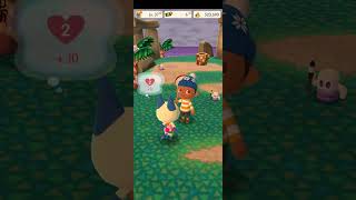 Animal crossingPocket Camp video53 [upl. by Muirhead]