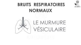 Bruits Respiratoires  Ecoutez le Murmure Vésiculaire [upl. by Collar]