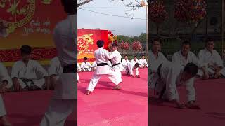 Những đòn đánh tinh hoa karate 🥋 defence vothuat martialarts karate kungfu loitrankarate [upl. by Junius863]