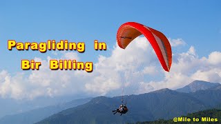 Paragliding in Bir Billing [upl. by Esyned]