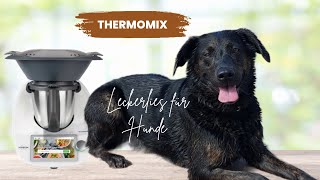 HundeLeckerlies aus dem Thermomix [upl. by Carlisle433]