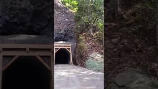 Spruce Railroad Trail Tunnel Port Angeles Washington [upl. by Natica]