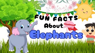 Fascinating facts about Elephants  Playful learning about Elephants for kids  Who Leads Elephants [upl. by Gaiser]