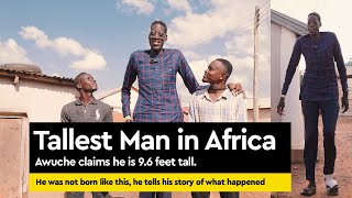 Is he really 96 feet tall is he the tallest man in the world Happy and sad story or Awuche [upl. by Myrtia]