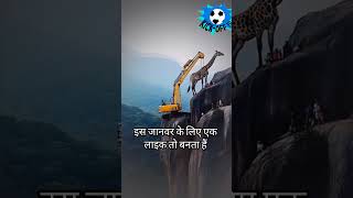 trending music 🎶shotrs video Hindi video viral video reel [upl. by Haily]