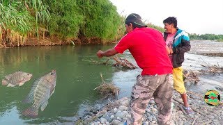 MIRA ASÍ SE PESCAN A LAS TILAPIAS CON ANZUELO  Pesca de Tilapias en Río [upl. by Lorola]