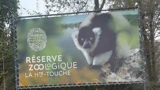 🦇 Réserve Naturelle Zoologique de la HauteTouche 〔1112024〕🎃 reservedelahautetouche8550 [upl. by Kentigera]