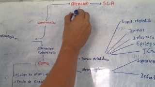 FISIOPATOLOGÍA DEL COMA [upl. by Persson]