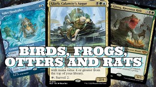 MY FAVORITE BLOOMBURROW COMMANDER  Glarb Calamity’s augur Deck Tech [upl. by Templeton755]