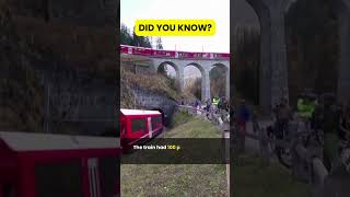 Swiss Train Worlds Longest Passenger Train In Switzerland  Did You Know [upl. by Neeruam]