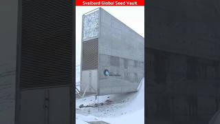 Duniya ka sabse safe seed Door🚪factbypankaj svalbard youtubeshorts amazingfacts norway seeds [upl. by Thorlie]