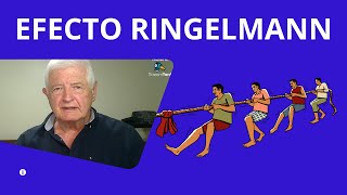 Efecto Ringelmann EXPLICADO FÁCIL [upl. by Annohsat]