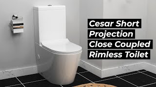 Cesar Rimless Close Coupled Toilets  Toilets in Uk I Royal Bathrooms [upl. by Abisha]