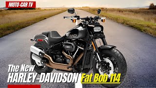 2023 HarleyDavidson STREET BOB 114  Ride Review REACTION [upl. by Oivatco]