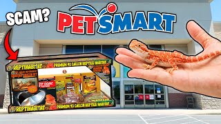 What is GOOD for Bearded Dragons at PetSmart [upl. by Grew]