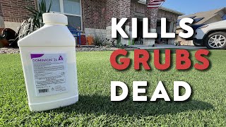 GRUB Control and Prevention in the Lawn [upl. by Farrel608]