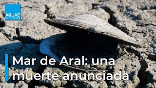 Desecación en el MAR DE ARAL  Crónica de una muerte anunciada [upl. by Veleda]