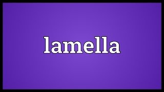 Lamella Meaning [upl. by Bart]