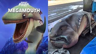 Hungry Shark World  New Update  All 29 SKINS amp SHARKS Unlocked  Android Gameplay FHD [upl. by Jelle]