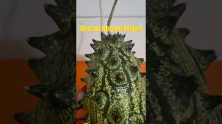 Kiwano Melon  African Horned Melon [upl. by Vito]