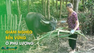 Giảm nghèo bền vững ở Phú Lương  Thái Nguyên TV [upl. by Winthrop]