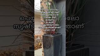 Allaahmaappila songmalayalamcanadashortfeedgreen vlogs by shaluEp 192 [upl. by Iago413]