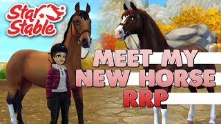 Star Stable Realistic Roleplay  Meet My New Lease Horse 🐴❤ [upl. by Llekram]