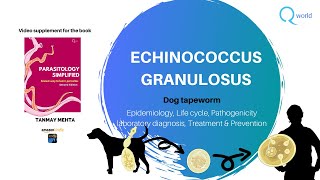 Echinococcus granulosus Dog Tapeworm Parasitology simplified tutorials For NEETPG NEXT USMLE [upl. by Worra]