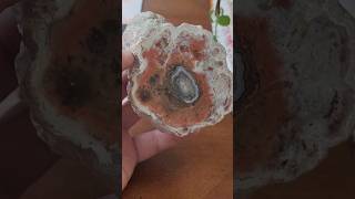 Nice Nova Scotia Limbcast With Agate Center [upl. by Jorry]