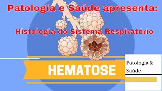 Histologia do Sistema Respiratório Hematose [upl. by Maidel]