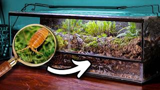 Buiding a Fallen Log Terrarium for my Isopods [upl. by Keyek]