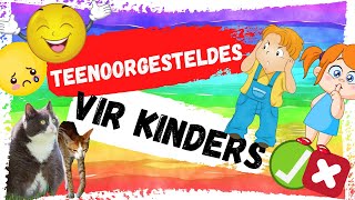 Afrikaanse kinder video  Teenoorgesteldes  Antonieme afrikaans kleuters leerafrikaans [upl. by Thay]