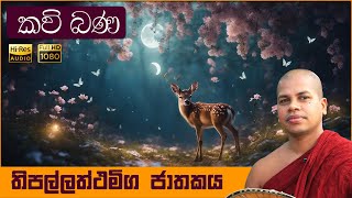 තිපල්ලත්ථමිග ජාතකය Thippalaththamiga Jathakaya සිංහල කවිබණ Sinhala KaviBana Jathaka Katha ජාතක කතා [upl. by Nylodam]