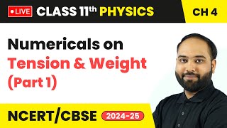 Numericals on Tension amp Weight Part 1  Class 11 Physics Chapter 4  CBSE 202425 live [upl. by Secnirp]